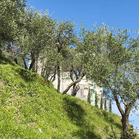 Guest house Dei Poeti 4*